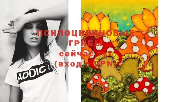 Альфа ПВП Елизово