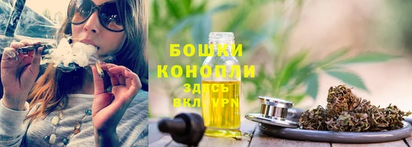 mdpv Елабуга