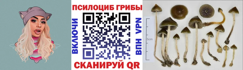 Псилоцибиновые грибы мухоморы  Славянск-на-Кубани 