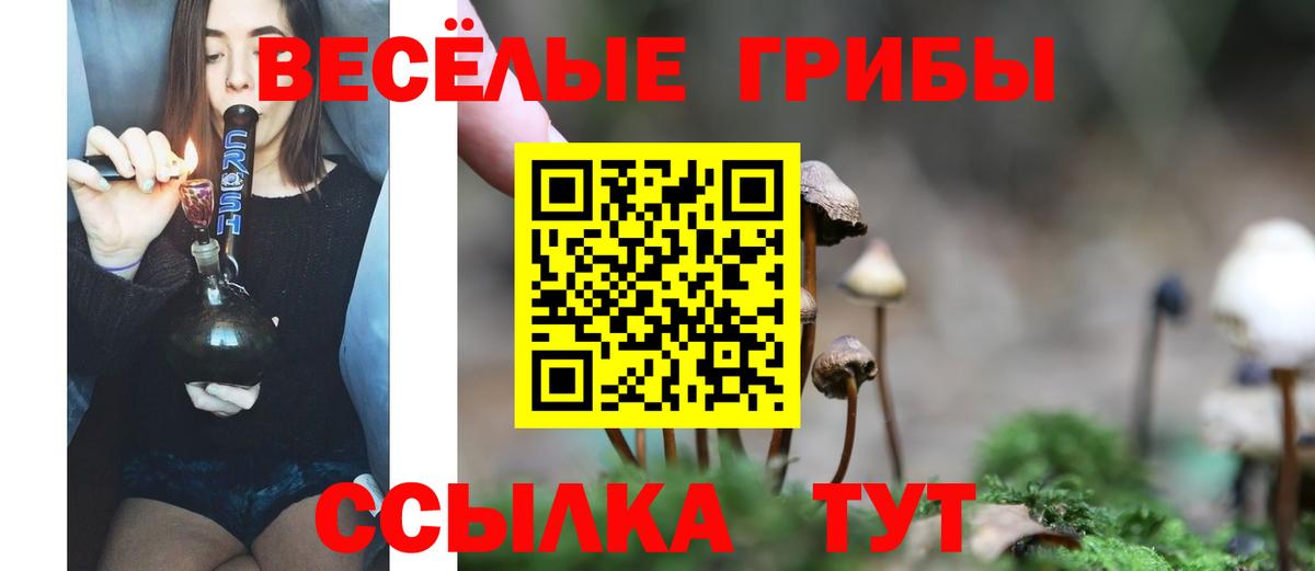 Галлюциногенные грибы Magic Shrooms Славянск-на-Кубани
